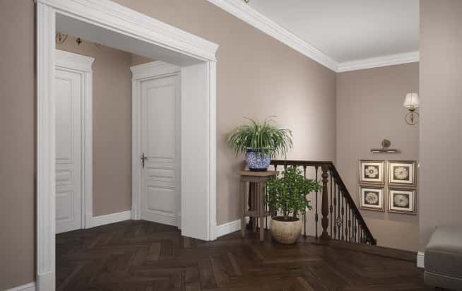 КП «Лесная Рапсодия-2». Растения в горшках в коридоре